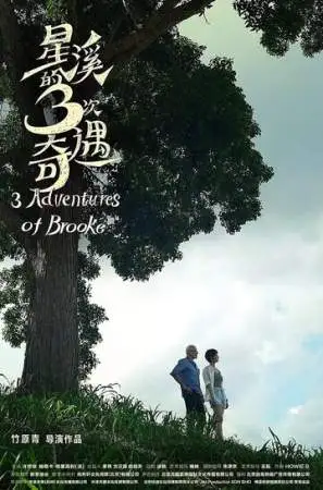 Три приключения Брук онлайн